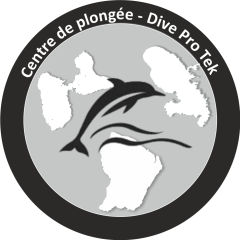Dive ProTek